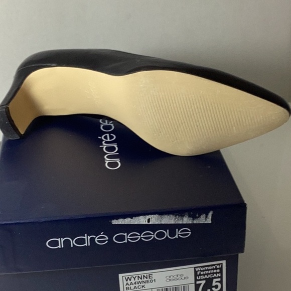 Wynne Pump (Women)
André Assous - Picture 10 of 11